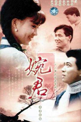 婉君第09集