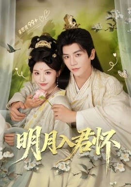 明月入君怀(全集)