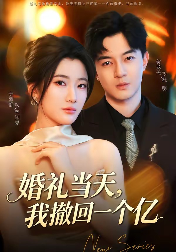 婚礼当天，我撤回一个亿(全集)