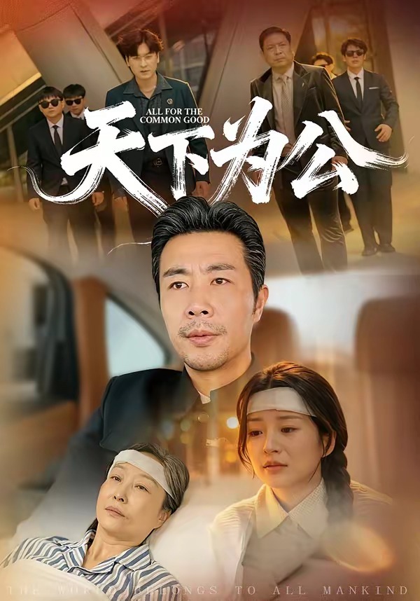 天下为公(全集)