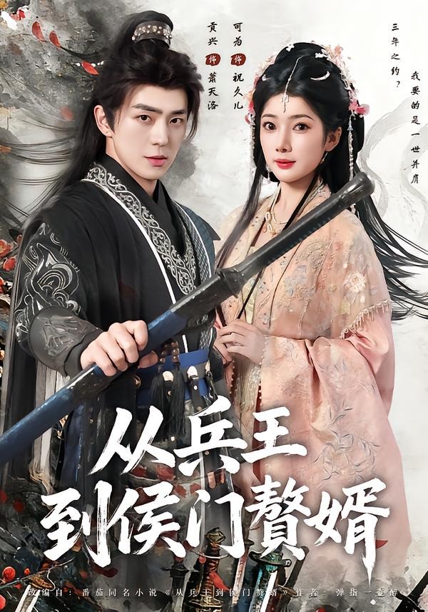 从兵王到侯门赘婿(全集)